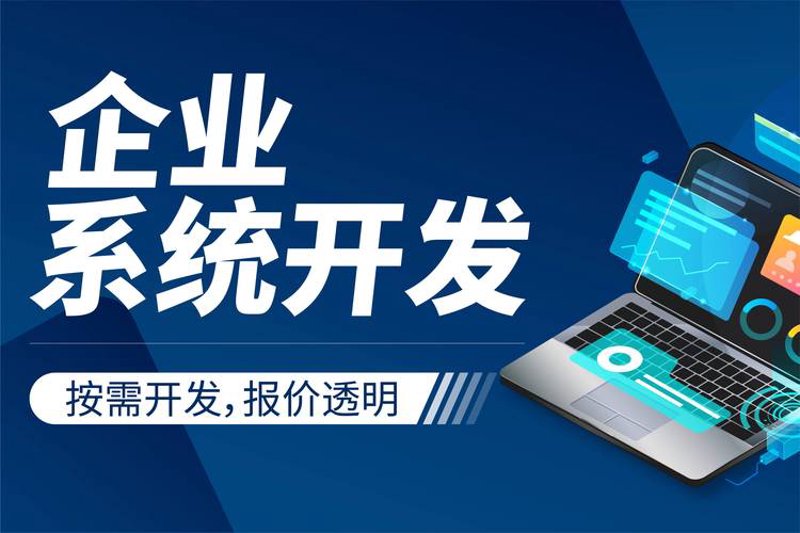 支付系统定制：引领行业变革的力量